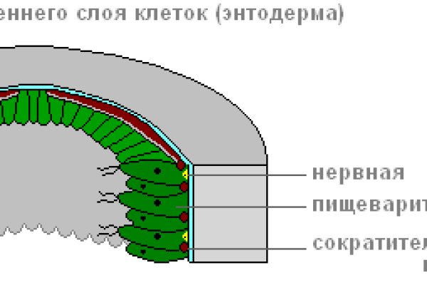 Кракен 15at