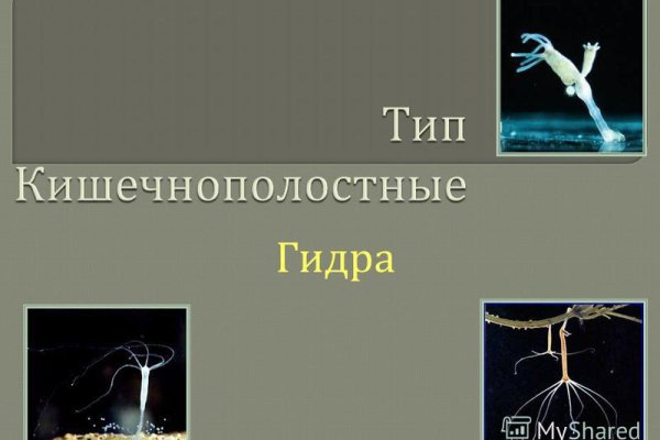 Кракен 20 at