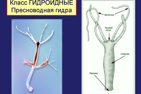 Сайт кракен рабочая ссылка