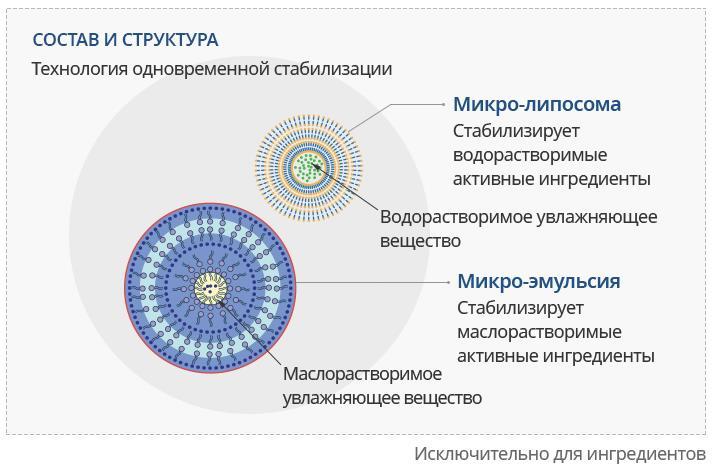 Кракен через тор